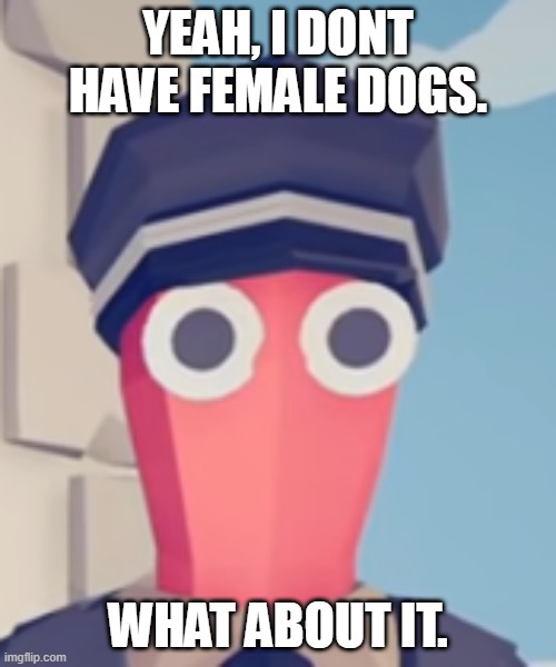 TABS Stare | YEAH, I DONT HAVE FEMALE DOGS. WHAT ABOUT IT. | image tagged in tabs stare | made w/ Imgflip meme maker