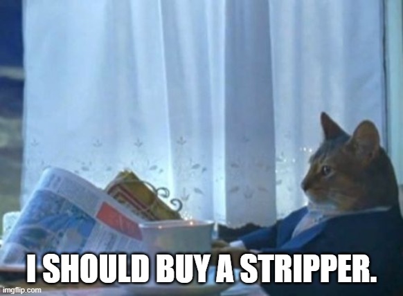 I Should Buy A Boat Cat Meme | I SHOULD BUY A STRIPPER. | image tagged in memes,i should buy a boat cat | made w/ Imgflip meme maker