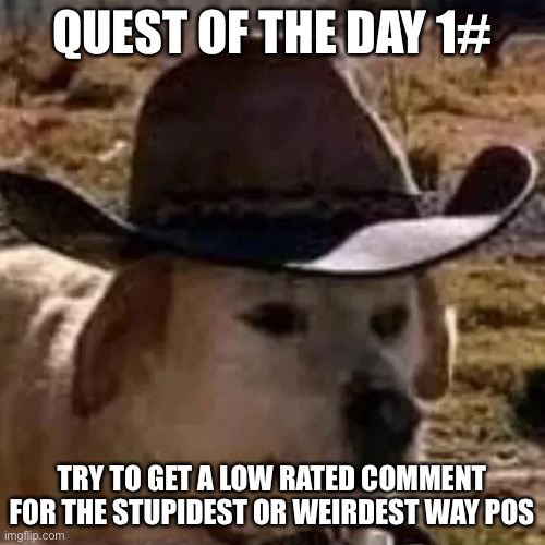 Post link in comments | QUEST OF THE DAY 1#; TRY TO GET A LOW RATED COMMENT FOR THE STUPIDEST OR WEIRDEST WAY POSSIBLE | image tagged in doge | made w/ Imgflip meme maker