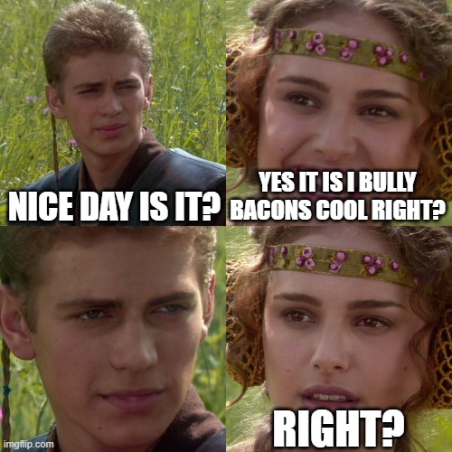 Anakin Padme 4 Panel |  NICE DAY IS IT? YES IT IS I BULLY BACONS COOL RIGHT? RIGHT? | image tagged in anakin padme 4 panel | made w/ Imgflip meme maker