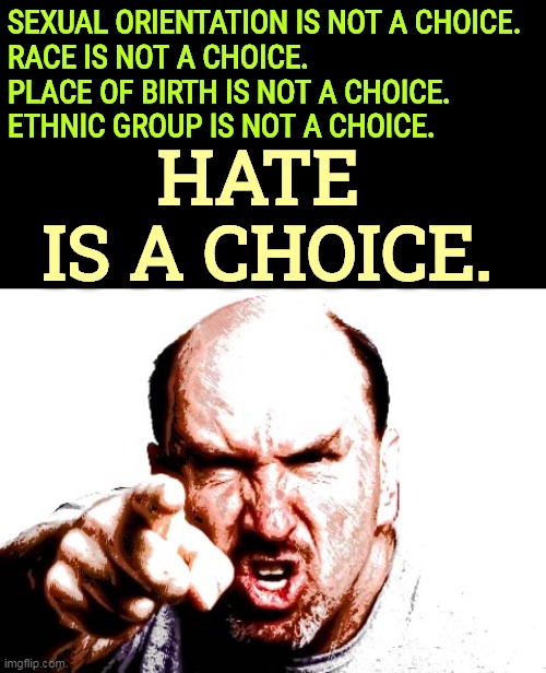SEXUAL ORIENTATION IS NOT A CHOICE.

RACE IS NOT A CHOICE.
PLACE OF BIRTH IS NOT A CHOICE.
ETHNIC GROUP IS NOT A CHOICE. HATE 
IS A CHOICE. | image tagged in gender,race,immigrant,background,hate,hatred | made w/ Imgflip meme maker