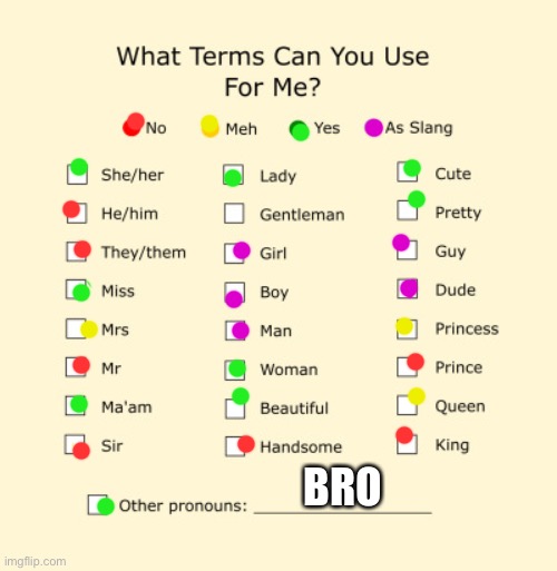 Pronouns Sheet | BRO | image tagged in pronouns sheet | made w/ Imgflip meme maker