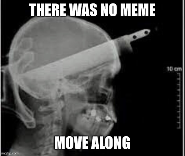 My last post totally didn’t exist | THERE WAS NO MEME; MOVE ALONG | made w/ Imgflip meme maker