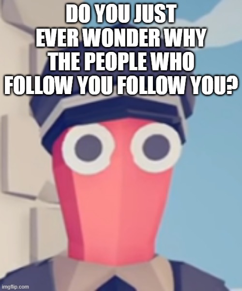 TABS Stare | DO YOU JUST EVER WONDER WHY THE PEOPLE WHO FOLLOW YOU FOLLOW YOU? | image tagged in tabs stare | made w/ Imgflip meme maker
