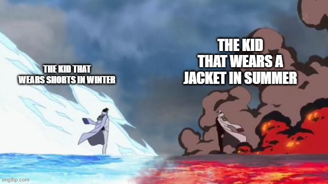 One Piece Akainu vs Aokiji | THE KID THAT WEARS A JACKET IN SUMMER; THE KID THAT WEARS SHORTS IN WINTER | image tagged in one piece akainu vs aokiji | made w/ Imgflip meme maker