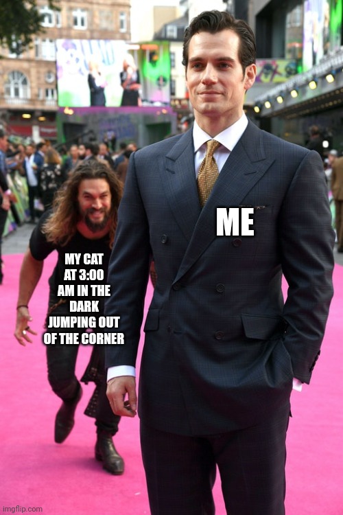 Cat | ME; MY CAT AT 3:00 AM IN THE DARK JUMPING OUT OF THE CORNER | image tagged in jason momoa henry cavill meme | made w/ Imgflip meme maker
