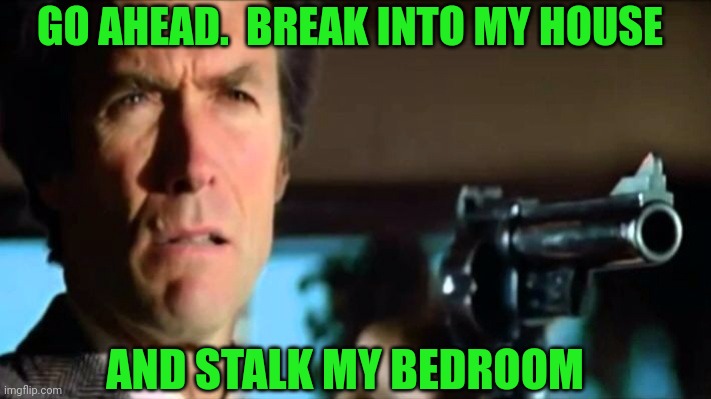 Go ahead make my day | GO AHEAD.  BREAK INTO MY HOUSE AND STALK MY BEDROOM | image tagged in go ahead make my day | made w/ Imgflip meme maker