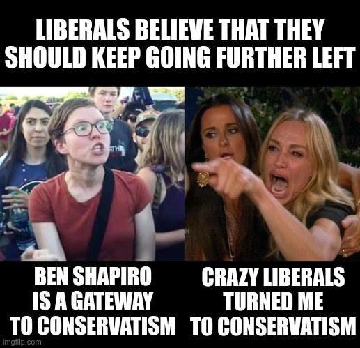 When you refuse to admit that you're shooting yourself in the foot | LIBERALS BELIEVE THAT THEY SHOULD KEEP GOING FURTHER LEFT; BEN SHAPIRO IS A GATEWAY TO CONSERVATISM; CRAZY LIBERALS TURNED ME TO CONSERVATISM | image tagged in impeach drumpf angry liberal,memes,woman yelling at cat | made w/ Imgflip meme maker
