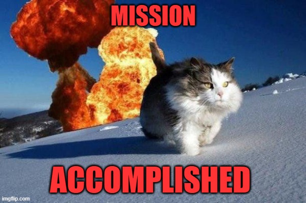 mission accomplished cat | MISSION ACCOMPLISHED | image tagged in mission accomplished cat | made w/ Imgflip meme maker
