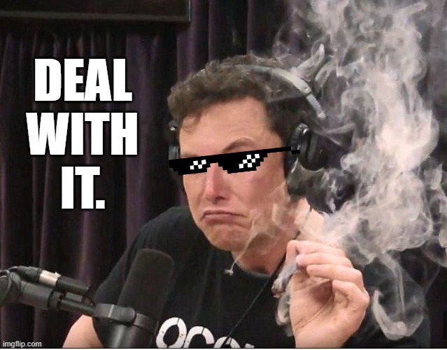Deal with it Twitter. |  DEAL
WITH
IT. | image tagged in elon musk smoking a joint,twitter | made w/ Imgflip meme maker