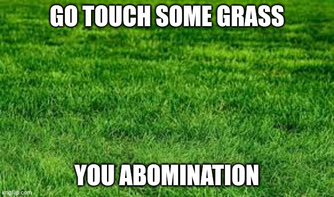 touching grass | GO TOUCH SOME GRASS YOU ABOMINATION | image tagged in touching grass | made w/ Imgflip meme maker