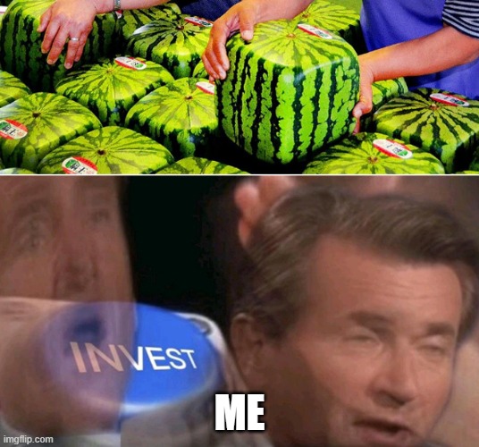 Heck yeah! |  ME | image tagged in invest,watermelon,lol | made w/ Imgflip meme maker