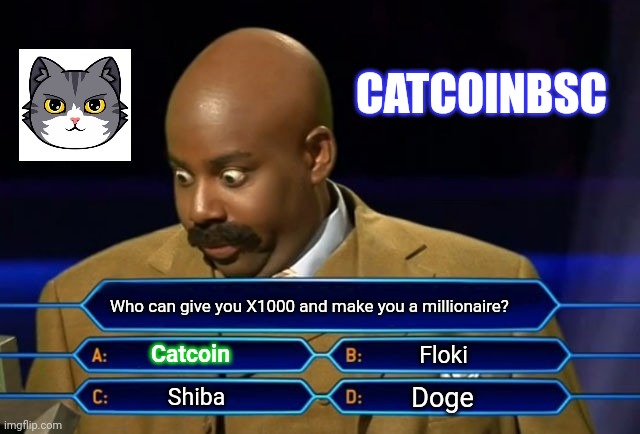 Who wants to be a millionaire? | CATCOINBSC; Who can give you X1000 and make you a millionaire? Catcoin; Floki; Doge; Shiba | made w/ Imgflip meme maker