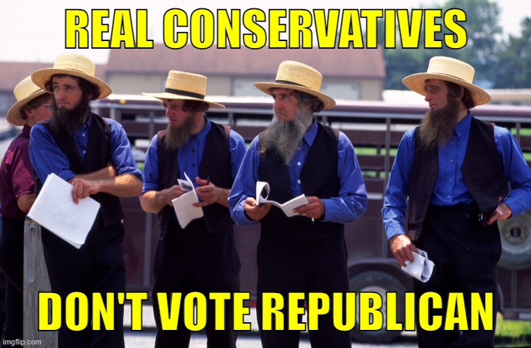 So you think Republicans are conservative? | REAL CONSERVATIVES; DON'T VOTE REPUBLICAN | image tagged in amish men,conservatives,voting | made w/ Imgflip meme maker