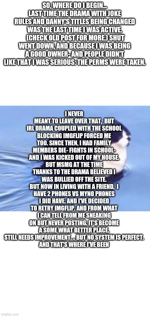 And that's me. Call me Mav/mvrk now instead of lucario or sensei plz | I NEVER MEANT TO LEAVE OVER THAT,  BUT IRL DRAMA COUPLED WITH THE SCHOOL BLOCKING IMGFLIP FORCED ME TOO. SINCE THEN, I HAD FAMILY MEMBERS DIE- FIGHTS IN SCHOOL- AND I WAS KICKED OUT OF MY HOUSE.
BUT MSMG AT THE TIME THANKS TO THE DRAMA BELIEVED I WAS BULLIED OFF THE SITE.
BUT NOW IN LIVING WITH A FRIEND,  I HAVE 2 PHONES VS MYNO PHONES I DID HAVE. AND I'VE DECIDED TO RETRY IMGFLIP. AND FROM WHAT I CAN TELL FROM ME SNEAKING ON BUT NEVER POSTING. IT'S BECOME A SOME WHAT BETTER PLACE. STILL NEEDS IMPROVEMENT. .. BUT NO SYSTEM IS PERFECT.
AND THAT'S WHERE I'VE BEEN; SO, WHERE DO I BEGIN...
LAST TIME THE DRAMA WITH JOKE RULES AND DANNY'S TITLES BEING CHANGED WAS THE LAST TIME I WAS ACTIVE.  (CHECK OLD POST FOR MORE.) SHUT WENT DOWN, AND BECAUSE I WAS BEING A GOOD OWNER- AND PEOPLE DIDN'T LIKE THAT I WAS SERIOUS: THE PERMS WERE TAKEN. | image tagged in he be floatin | made w/ Imgflip meme maker