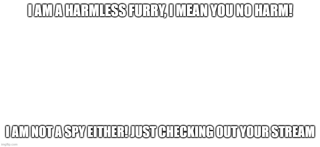 Please do not ban me | I AM A HARMLESS FURRY, I MEAN YOU NO HARM! I AM NOT A SPY EITHER! JUST CHECKING OUT YOUR STREAM | image tagged in crusader,furry | made w/ Imgflip meme maker