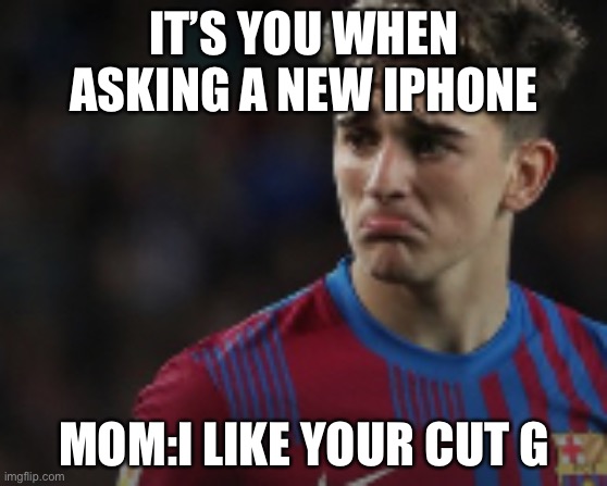 Bruh | IT’S YOU WHEN ASKING A NEW IPHONE; MOM:I LIKE YOUR CUT G | image tagged in football | made w/ Imgflip meme maker