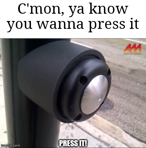 Relatable Childhood Memes | C'mon, ya know you wanna press it; PRESS IT! | image tagged in childhoodmemes | made w/ Imgflip meme maker