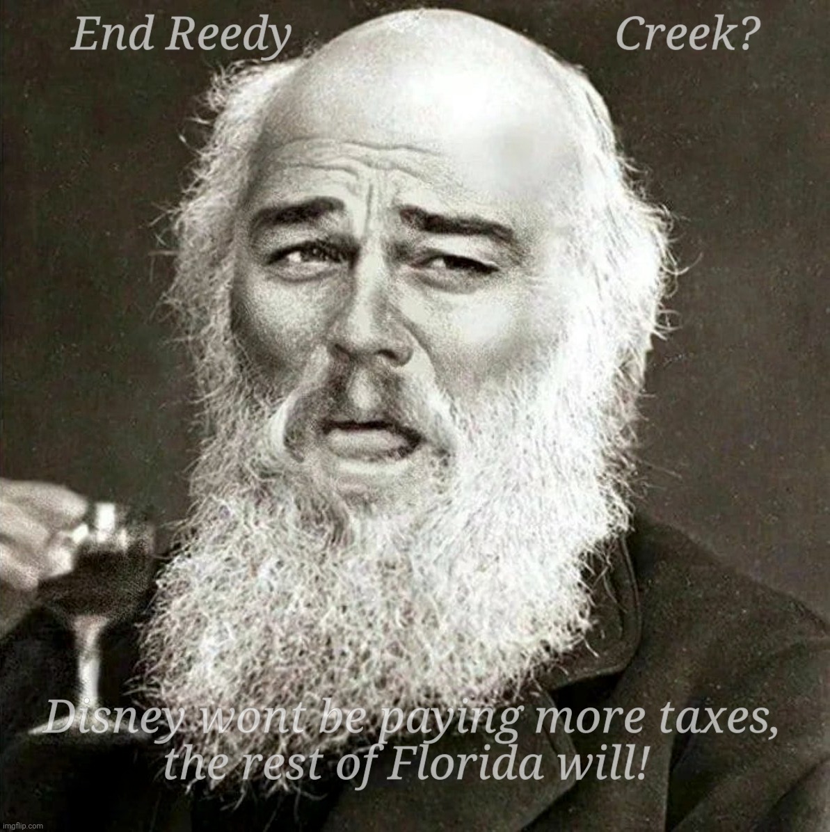 Laughing Leonardo DeCaprio Django Darwin | End Reedy                           Creek? Disney wont be paying more taxes,
the rest of Florida will! | image tagged in laughing leonardo decaprio django darwin | made w/ Imgflip meme maker