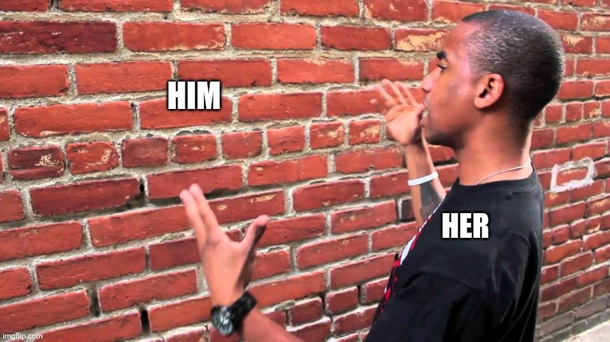 Brick wall | HER HIM | image tagged in brick wall | made w/ Imgflip meme maker