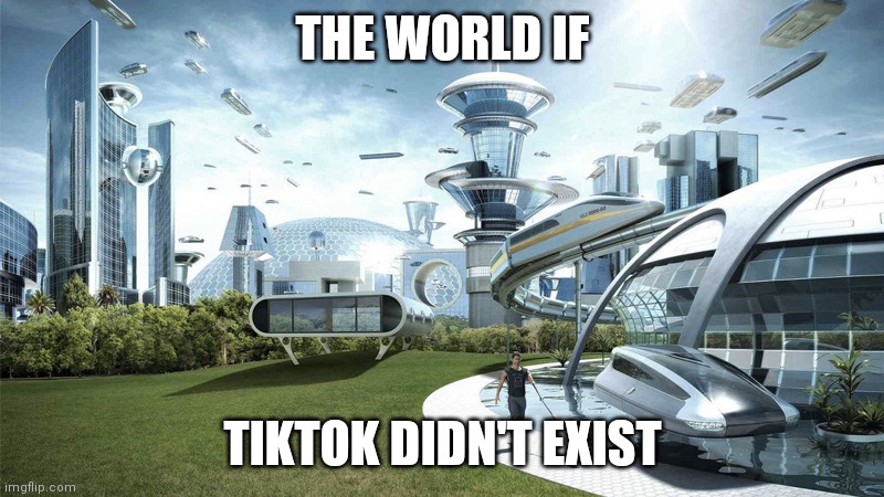 The world if | THE WORLD IF; TIKTOK DIDN'T EXIST | image tagged in the world if | made w/ Imgflip meme maker