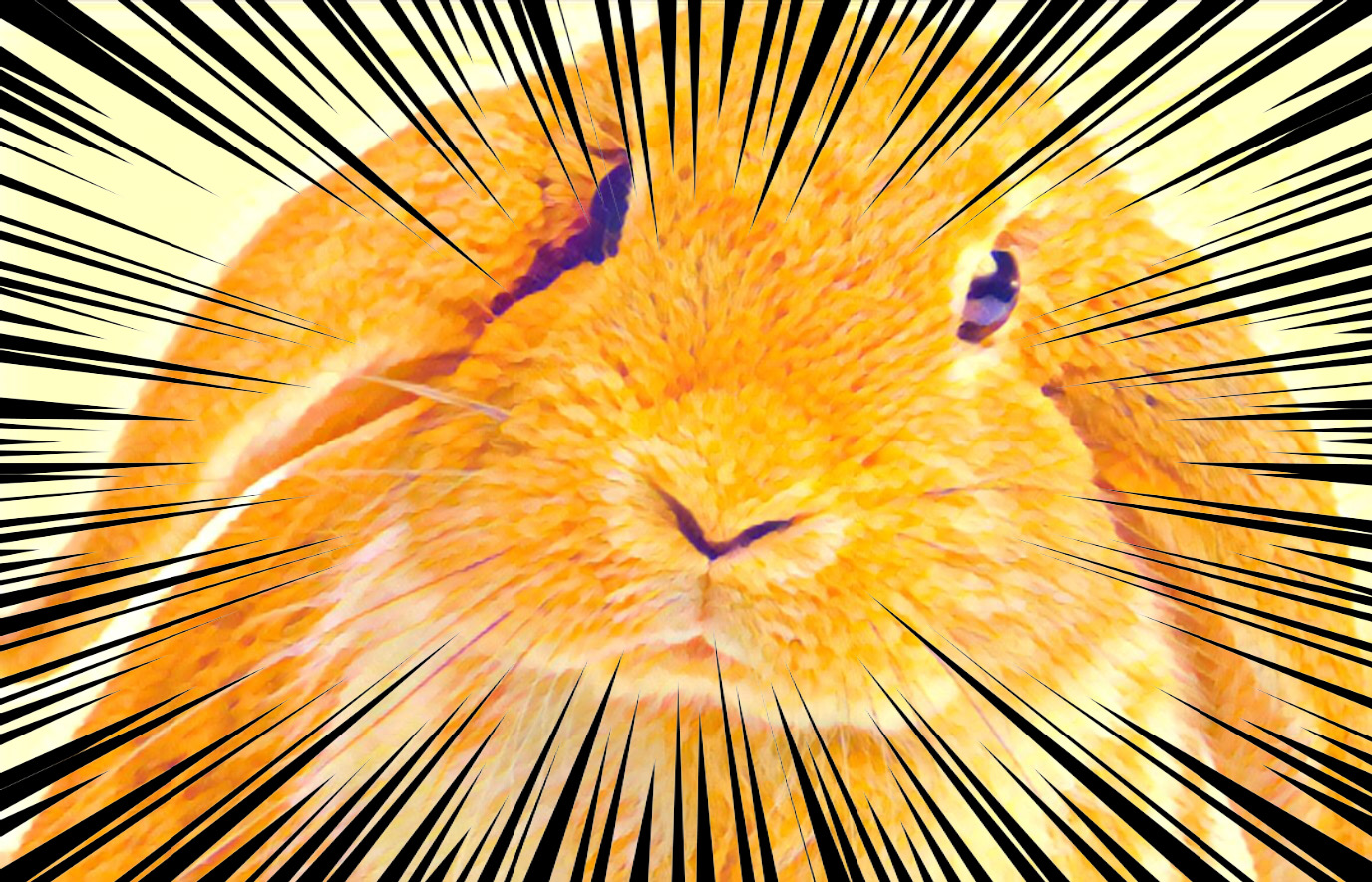 High Quality epic rabbit Blank Meme Template