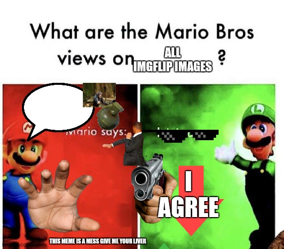 Mario Bros Views | THIS MEME IS A MESS GIVE ME YOUR LIVER I AGREE ALL IMGFLIP IMAGES | image tagged in mario bros views | made w/ Imgflip meme maker