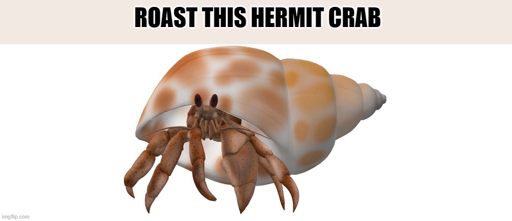 .-. | ROAST THIS HERMIT CRAB | image tagged in doggy in my tummy | made w/ Imgflip meme maker