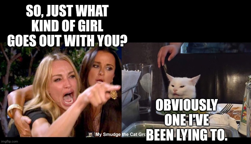 SO, JUST WHAT KIND OF GIRL GOES OUT WITH YOU? OBVIOUSLY ONE I'VE BEEN LYING TO. | image tagged in smudge the cat,woman yelling at cat | made w/ Imgflip meme maker