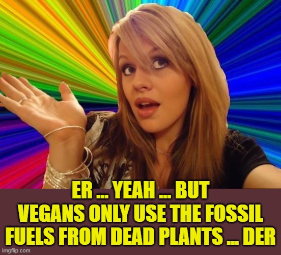 Dumb Blonde Meme | ER ... YEAH ... BUT VEGANS ONLY USE THE FOSSIL FUELS FROM DEAD PLANTS ... DER | image tagged in memes,dumb blonde | made w/ Imgflip meme maker