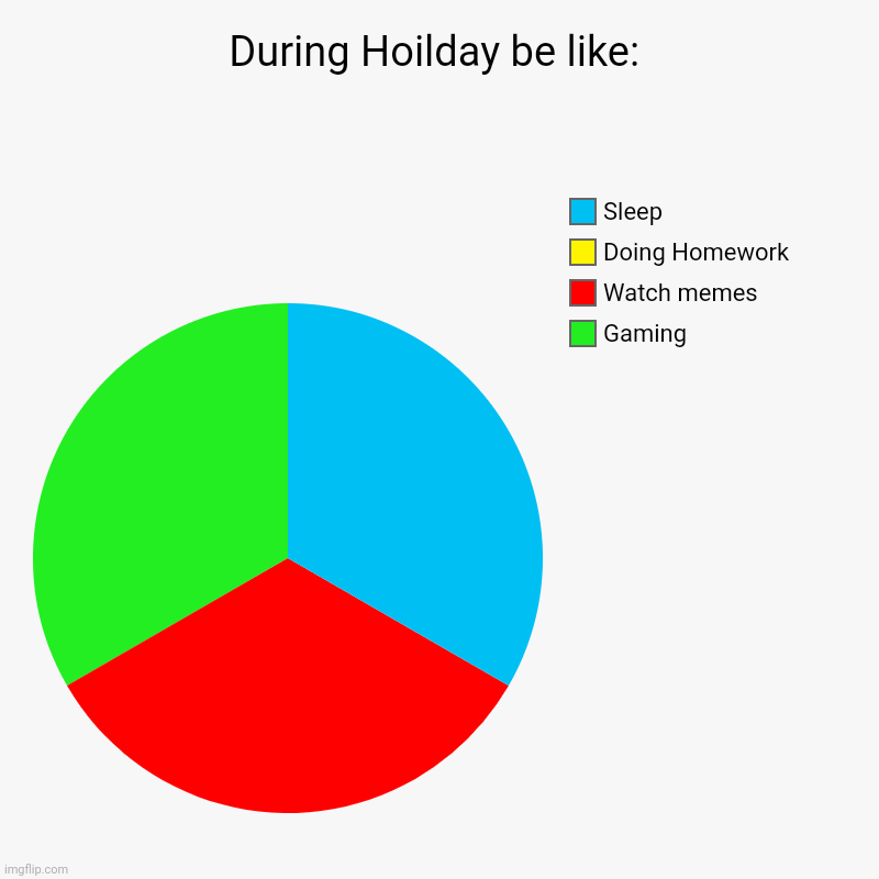 During Hoilday be like: | During Hoilday be like: | Gaming, Watch memes, Doing Homework, Sleep | image tagged in charts,pie charts | made w/ Imgflip chart maker