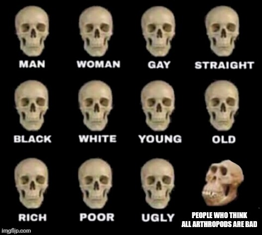 idiot skull | PEOPLE WHO THINK ALL ARTHROPODS ARE BAD | image tagged in idiot skull | made w/ Imgflip meme maker