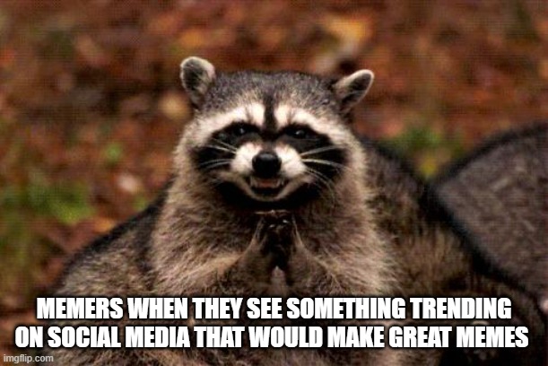 Memers when they see | MEMERS WHEN THEY SEE SOMETHING TRENDING ON SOCIAL MEDIA THAT WOULD MAKE GREAT MEMES | image tagged in memes,evil plotting raccoon | made w/ Imgflip meme maker