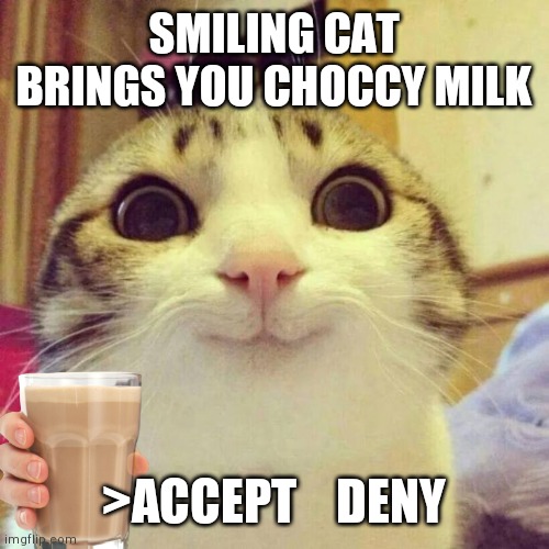 Accept? | SMILING CAT BRINGS YOU CHOCCY MILK; >ACCEPT    DENY | image tagged in memes,smiling cat | made w/ Imgflip meme maker