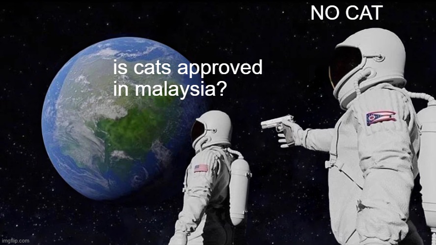 cat? | NO CAT; is cats approved in malaysia? | image tagged in memes,always has been | made w/ Imgflip meme maker