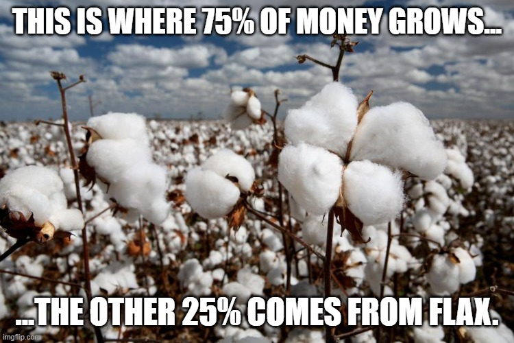 Cotton fields forever  | THIS IS WHERE 75% OF MONEY GROWS... ...THE OTHER 25% COMES FROM FLAX. | image tagged in cotton fields forever | made w/ Imgflip meme maker