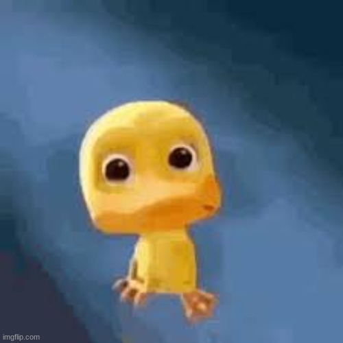 Crying duck | image tagged in crying duck | made w/ Imgflip meme maker