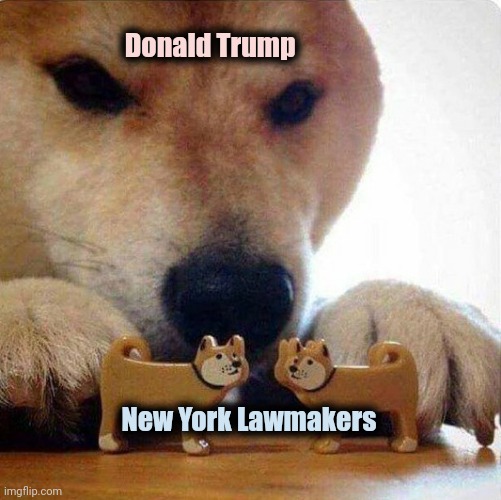 Doge dog playing with toy dogs | Donald Trump New York Lawmakers | image tagged in doge dog playing with toy dogs | made w/ Imgflip meme maker