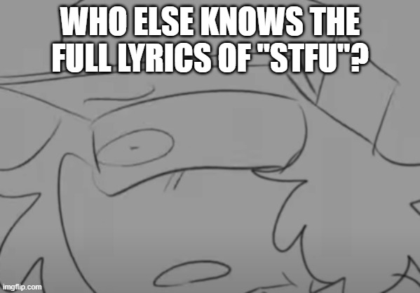 Aeiou | WHO ELSE KNOWS THE FULL LYRICS OF "STFU"? | image tagged in garcello has seen some sh t | made w/ Imgflip meme maker