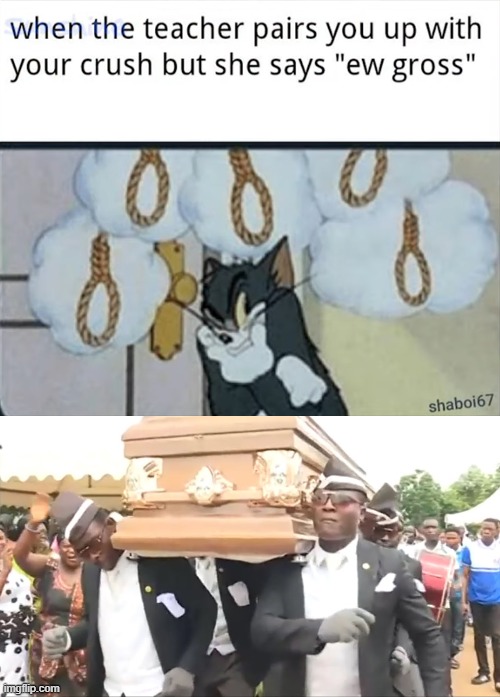 image tagged in coffin dance | made w/ Imgflip meme maker
