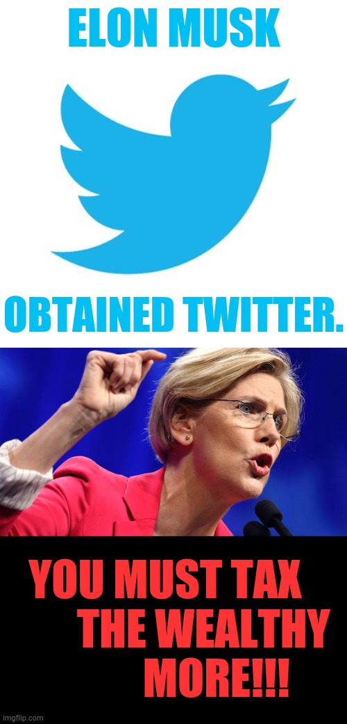 Elizabeth Warren's Opinion | ELON MUSK; OBTAINED TWITTER. YOU MUST TAX          THE WEALTHY           MORE!!! | image tagged in twitter birds says,elizabeth warren,tax,more,politics,memes | made w/ Imgflip meme maker