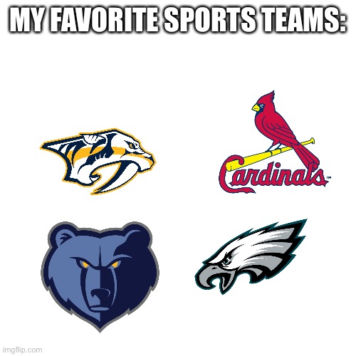 Blank Transparent Square Meme | MY FAVORITE SPORTS TEAMS: | image tagged in memes,blank transparent square | made w/ Imgflip meme maker