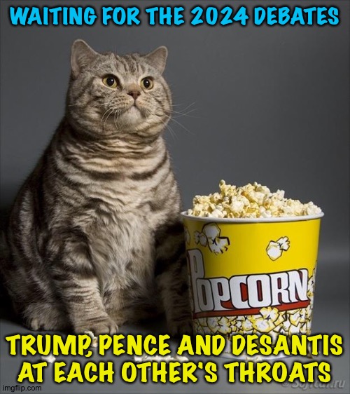 Donald won't have a prayer | WAITING FOR THE 2024 DEBATES; TRUMP, PENCE AND DESANTIS AT EACH OTHER'S THROATS | image tagged in cat eating popcorn | made w/ Imgflip meme maker