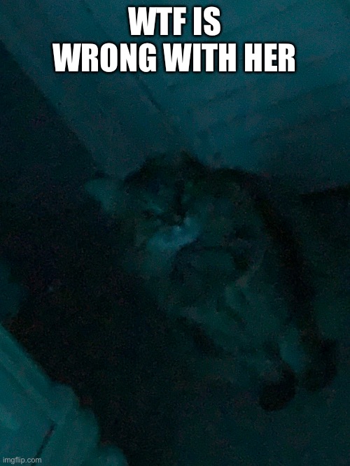 WTF IS WRONG WITH HER | made w/ Imgflip meme maker