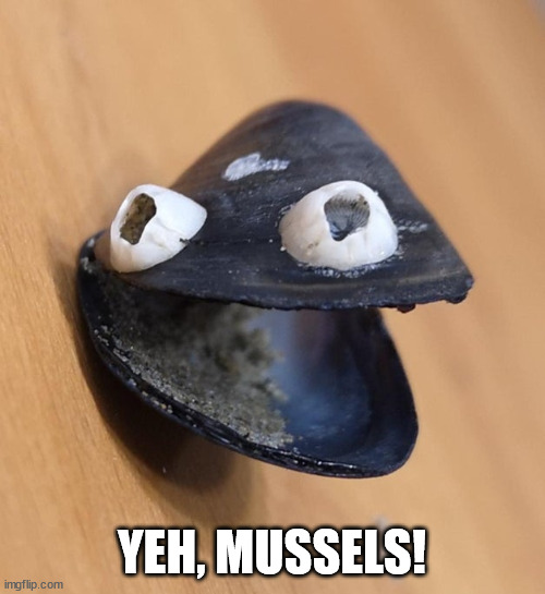 dadjoke mussel | YEH, MUSSELS! | image tagged in dadjoke mussel | made w/ Imgflip meme maker