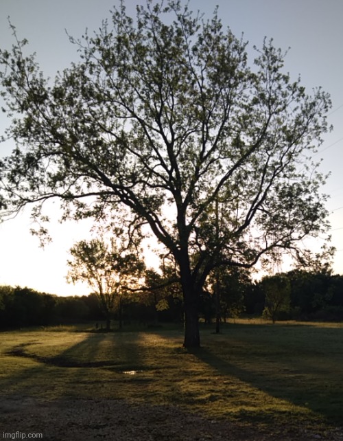 hello chat | made w/ Imgflip meme maker