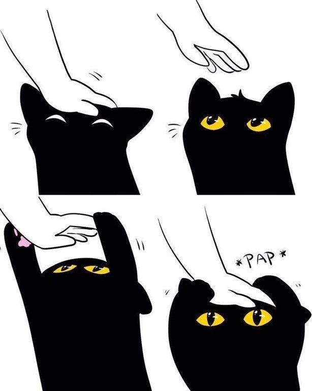 High Quality cat headpat meme Blank Meme Template