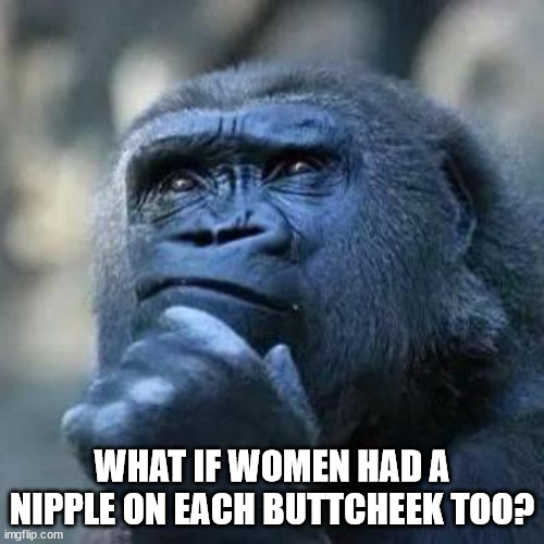Butt nipple | WHAT IF WOMEN HAD A NIPPLE ON EACH BUTTCHEEK TOO? | image tagged in thinking ape | made w/ Imgflip meme maker