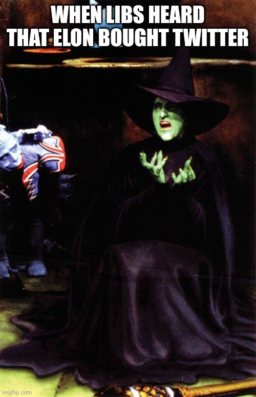 WHEN LIBS HEARD THAT ELON BOUGHT TWITTER | image tagged in funny memes | made w/ Imgflip meme maker