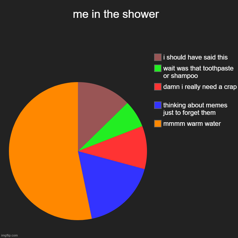 me in the shower  | mmmm warm water, thinking about memes just to forget them, damn i really need a crap , wait was that toothpaste or shamp | image tagged in charts,pie charts,shower thoughts,shower,impostor of the vent | made w/ Imgflip chart maker